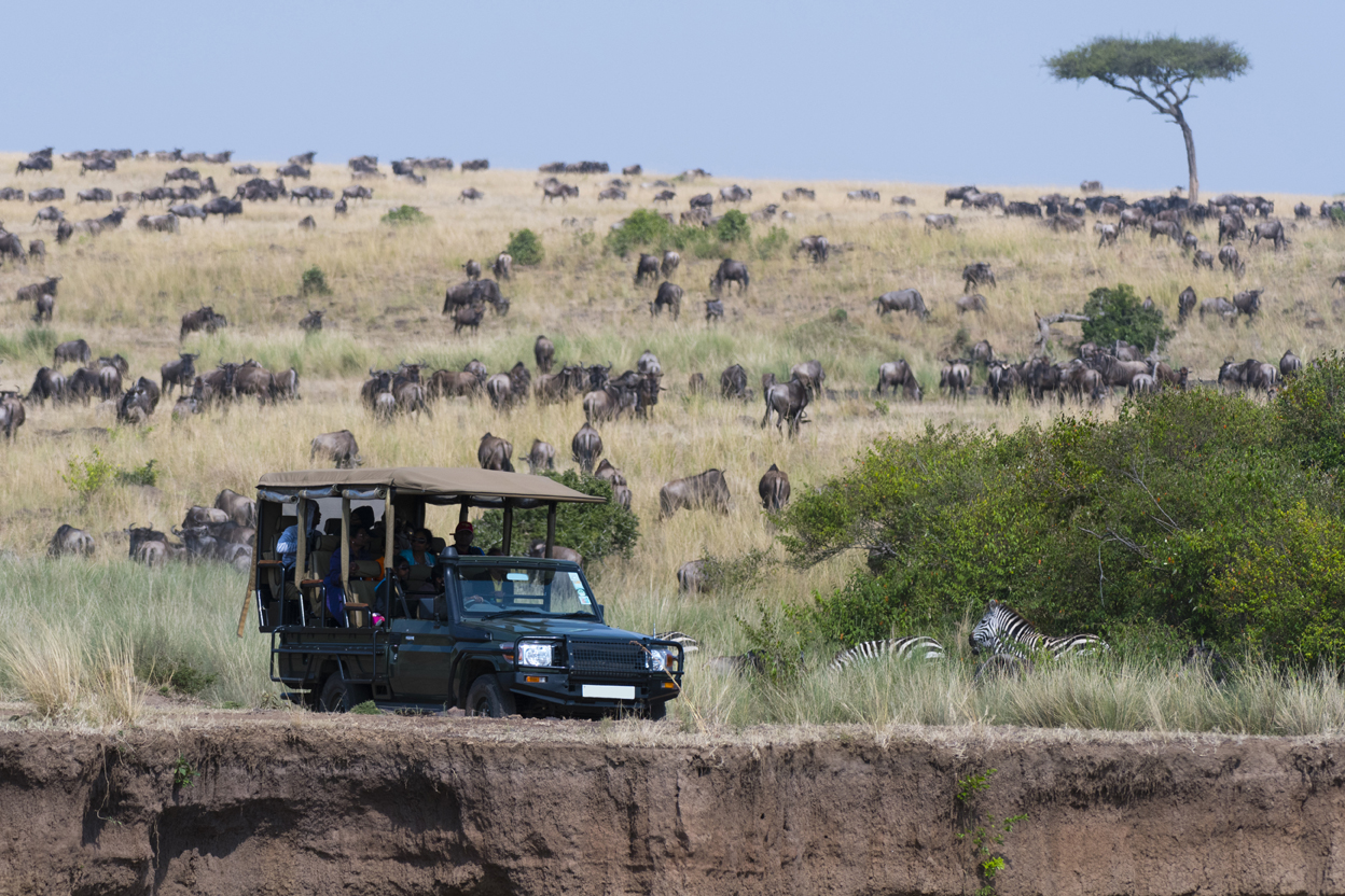 Spotting the Big Five: A Guide to Wildlife Encounters in Uganda and Rwanda